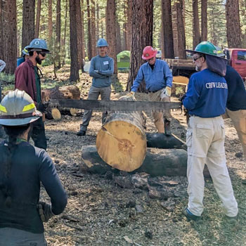 Tahoe Trail Skills College participants in a crosscut saw course